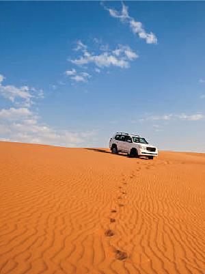 Best desert safari dubai  (private)